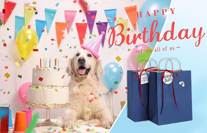 O1CN01jPq13v2Kv6PXlke2C_!!2216028829618-0-cib.jpg?__r__=1745286372497