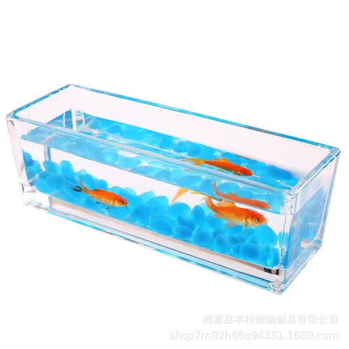 Hydroponic plants glass bottle square cylinder simple vase transparent green radish water lily copper money grass water culture flower pot utensils ornaments