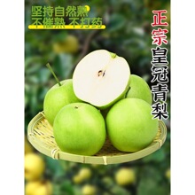 �ʹ���Ƥ�������r10�ﮔ���Xɽ������ѩ��Xɽ����������