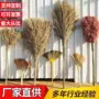 老式马路户外车间竹扫把