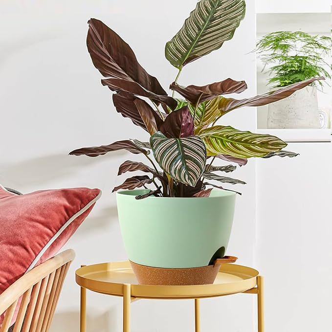 Fábrica directa de Amazon E-commerce lateral agregar agua perezosas autoabsorbente patio de plástico orquídea de colgar rosa verde