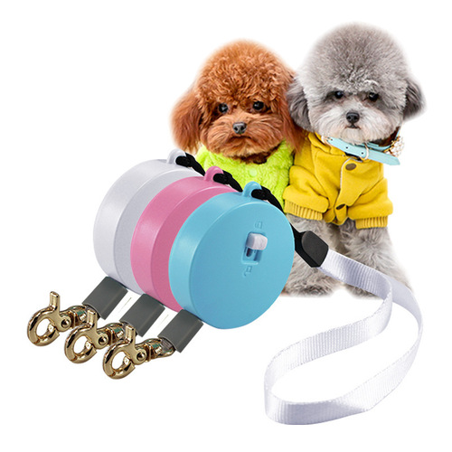 Automatic Retractable Nylon Pet Leash for Small Dogs and Cats, Mini 2-meter Pet Collar, Portable and New Model for International Trade