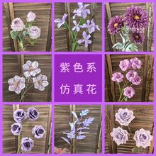 ��ɫϵ���滨�� ��ɫϵ��Y���滨��c�û�õ�彑���c·���廨