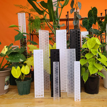 水苔柱 墙 柱子哥热植2022新款爬藤植物攀附柱可拼接延长调节仕淮