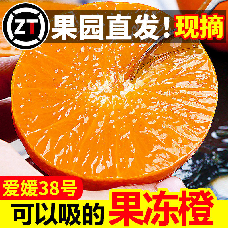 四川爱媛38号果冻橙现摘当季新鲜水果薄皮橙子甜柑橘桔子