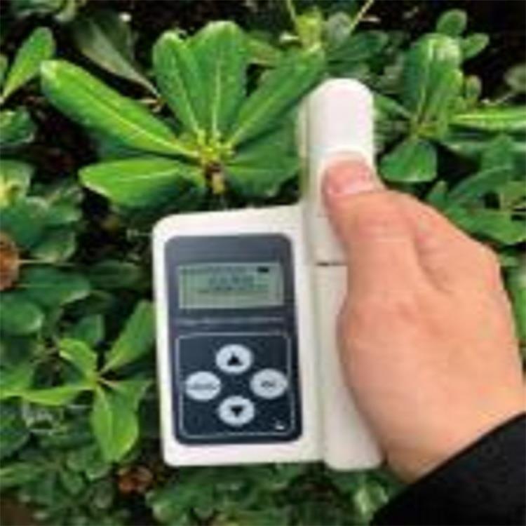 叶绿素测试仪 型号CN61M/TYS-B库号M370485