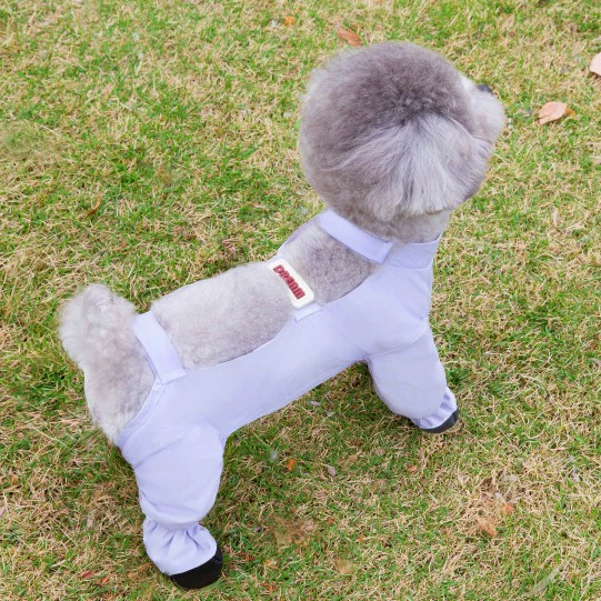 Новые легкие водонепроницаемые тканевые штаны для собак с защитой углов и живота, защитой от грязи и росы, 25 штук штанов для защиты ног.