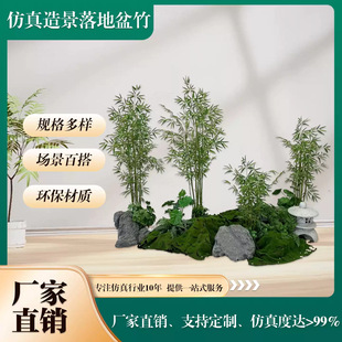 ��������Gֲ����҃ȼҾ��b����̨�k�����쾰���������Դ���