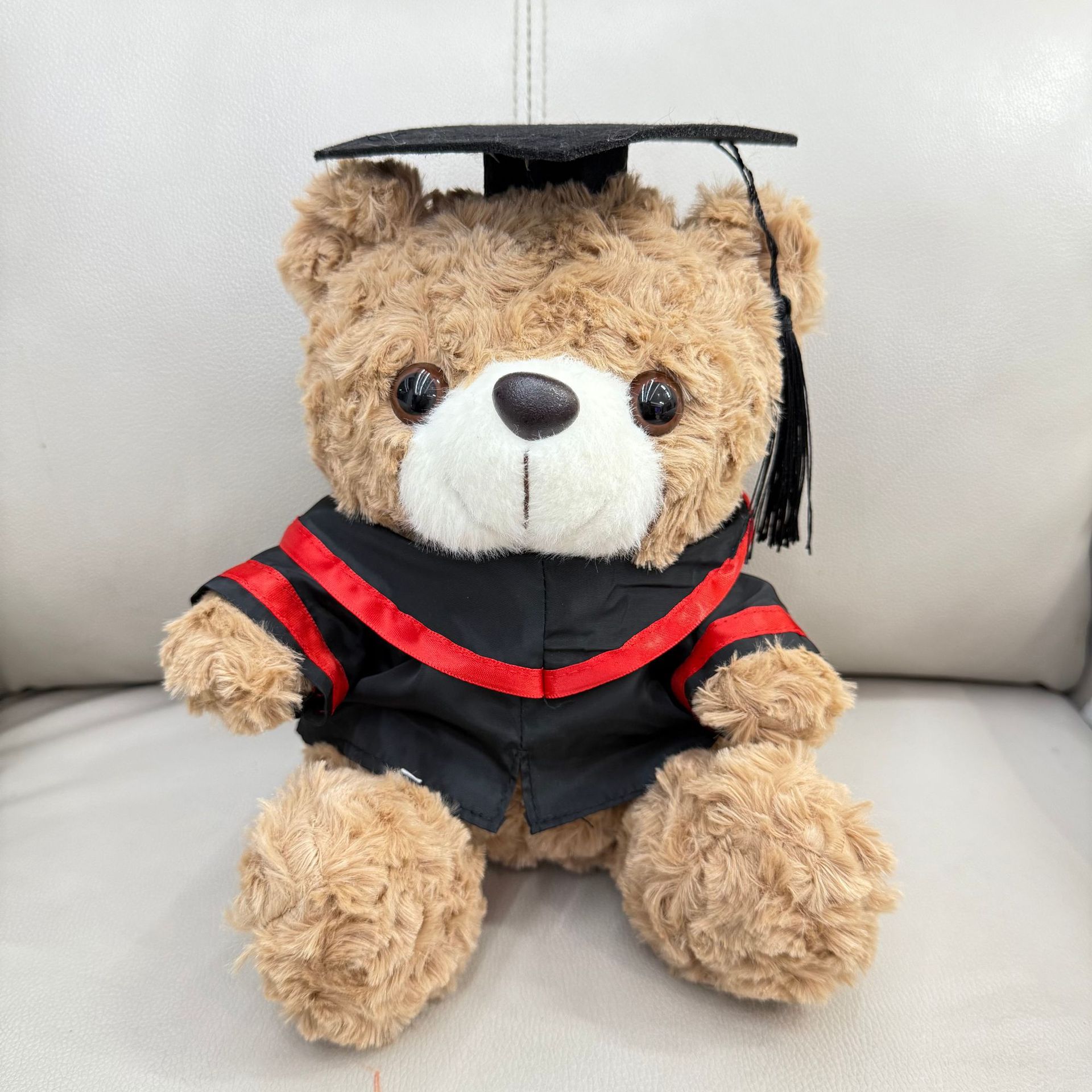 Graduación Teddy Bear Puppy Doctor Teddy Bear School Print logotipo regalo de graduación