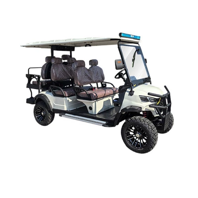 Four-Wheel Sightseeing Car, Elektrikli qolf avtomobilləri