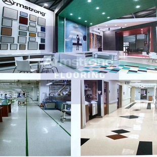 Armstrong/��ķ˹������ͬ�|͸��pvcʯ��Ƭ�ķ�����ĥƬ�ĵذ�