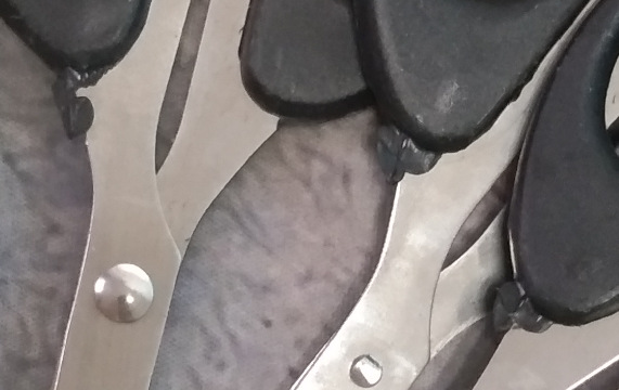 i2idjvmmydSNv11IL5NSedTTnRwu+Al0nGs+