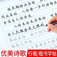 楷书练字帖成年大学生正楷字帖高中初中成人行楷练字临摹硬笔书法