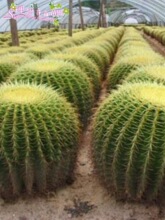 ����������������� �e���·��m�Ã����՚� �������Է�ݗ������