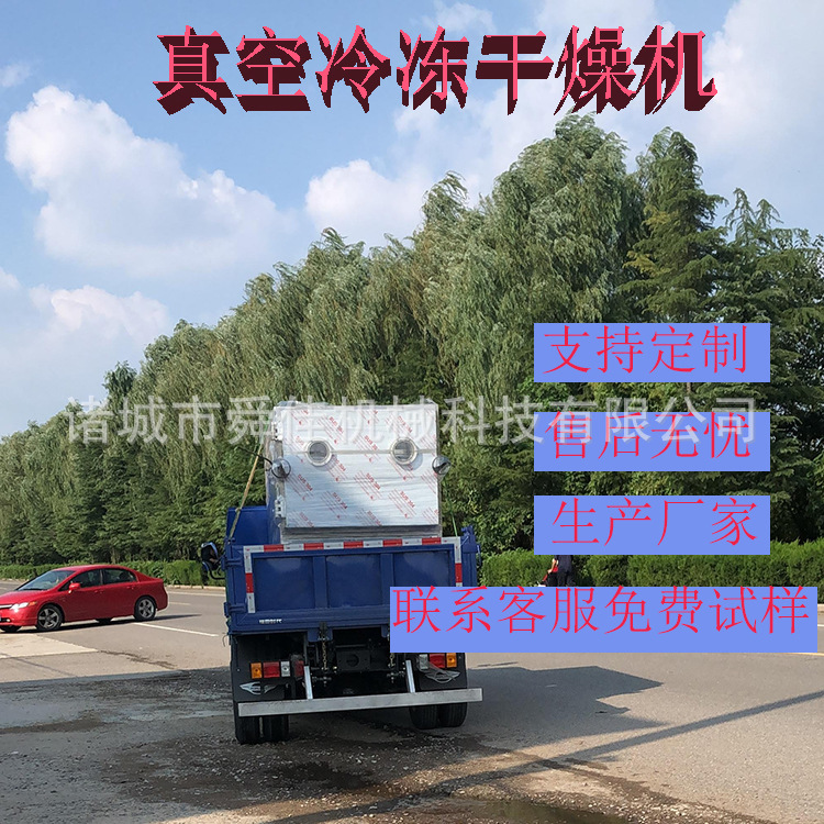 乳品冻干机马奶牛奶低温真空冻干机 羊奶酸奶真空干燥机