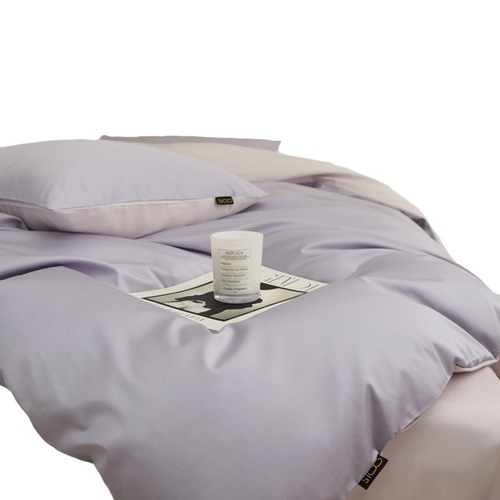 A Class 100 Piece Simple Long Staple Cotton Damask Four-Piece Set Bedspread with Pocket Red Book Trendy Dorm All-Cotton Quilt Cover and Sheet Wholesale