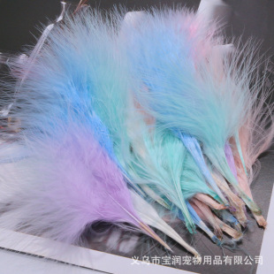�S�ҬF؛6-13cm���uëѪ�ܽq��ɫ��ë�ݳ����Ʒ���������؈��