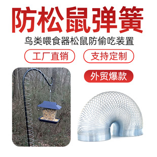 ������͵�ԏ��ɑ����B�ιʳ����������b��Squirrel ProofSpring