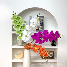 3D��ӡ9�^�zƬ�����m����ٻ� ��֦�͏d��ؔ[����c��Y�廨�b�