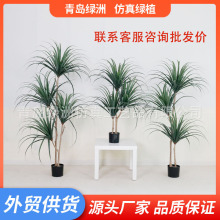 ������Ѫ�䱱�W��Ѫ�F����ؾGֲ���ԼҾә����b���Gֲ�z�m��