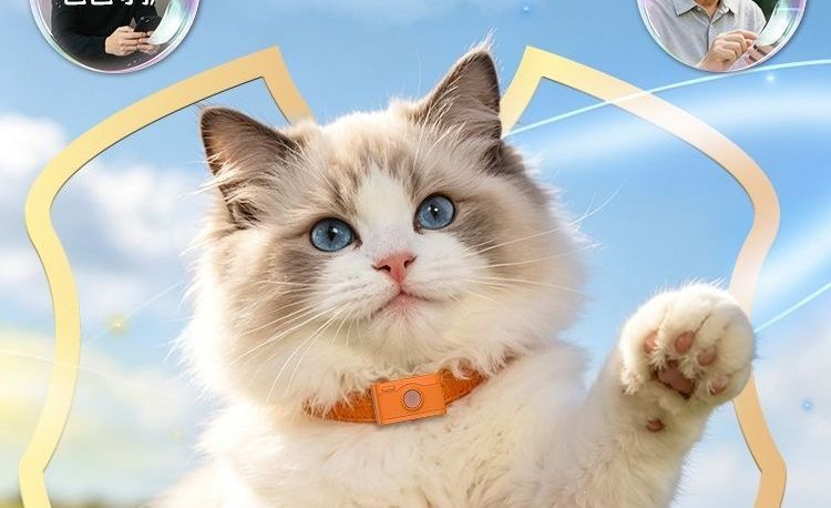 Real-time dog tracking smart GPS tracker, new anti-electronic fence locator, waterproof pet cat collar, others