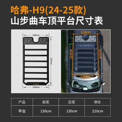 Big Dog Second Generation, Roof rack