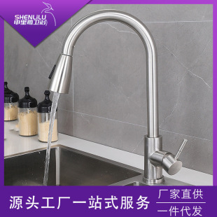 Cross-border kitchen faucet hot and cold rotatable 304 stainless steel vegetable washing basin pull-out telescopic sink Dragon