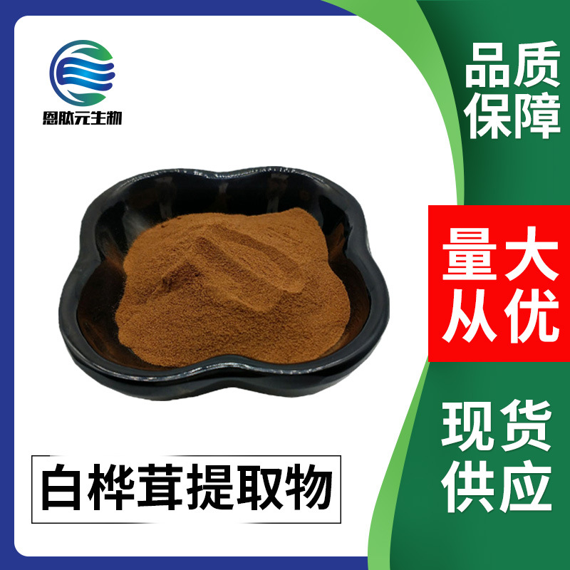 白桦茸提取物 10：1 白桦茸粉  现货供应  量大从优 1KG起