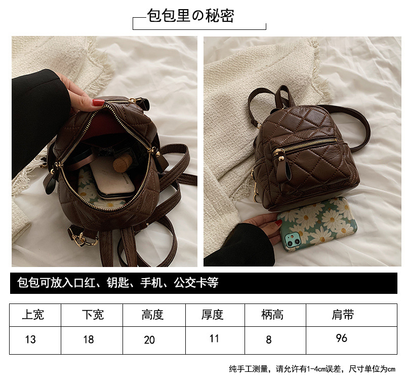 Lingge New Winter Fashion Solid Color Backpack Short-distance Travel Bag One-shoulder Hand Carry display picture 1