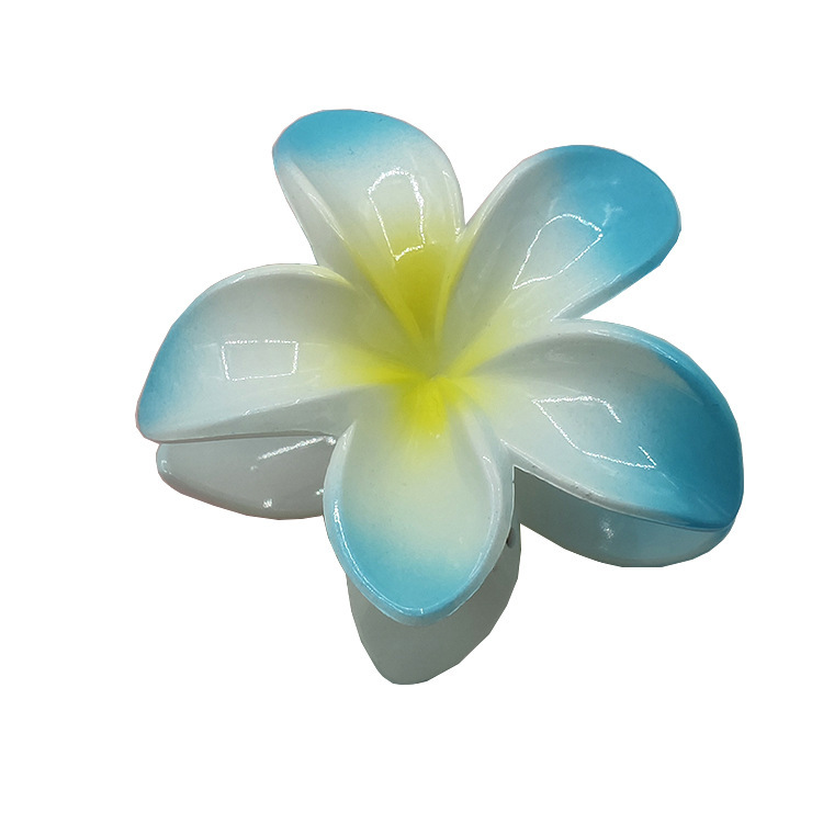 国境を越えたアマゾンの卵の花がグラデーションの花のキャンディー色の紫荊花の後頭部をつかんでサメの花を挟んで髪を伸ばします。|undefined
