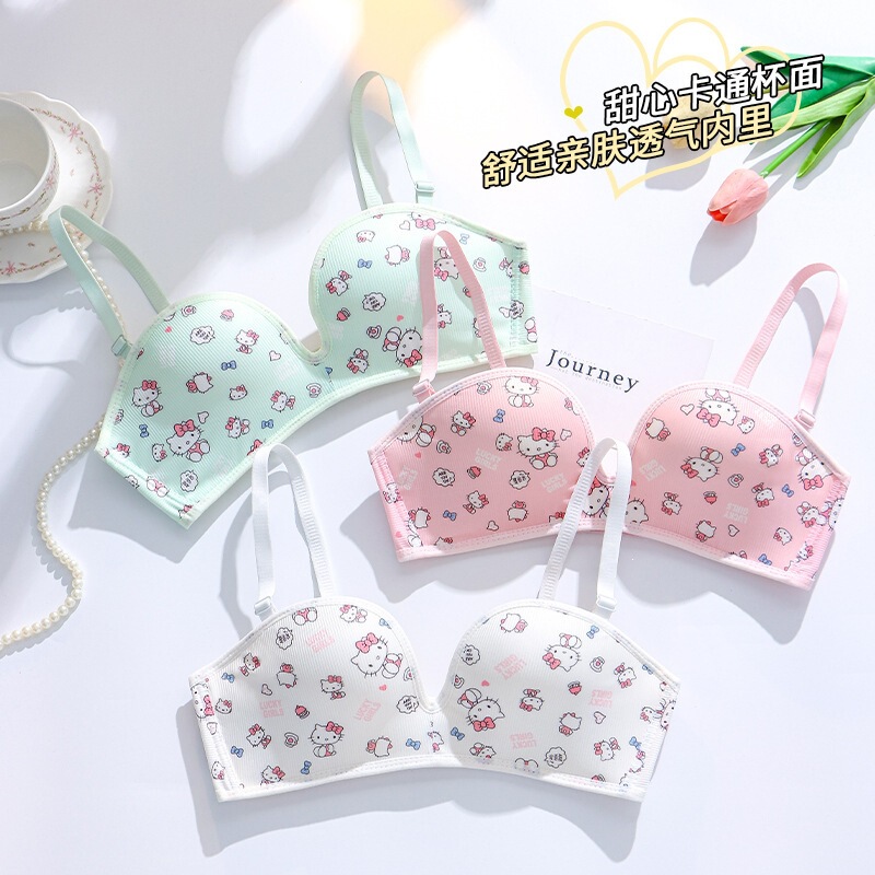 2025 New Style Girls' Small Chest Push-Up Adjustable Bra, Women's Wireless Breathable Comfortable Student Seamless Underwear