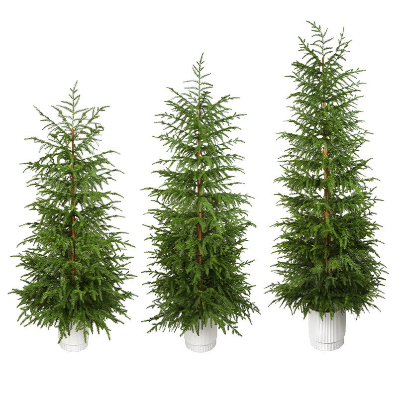 Decoración de Navidad puro árbol de Navidad PE2025 nuevo estilo de decoración de alta calidad se puede utilizar para el diseño de la escena de bonsai para el hogar