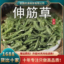 ������ș���������ݷ�Ұ������ݷ�С�������_�۴�͸�ǲ�