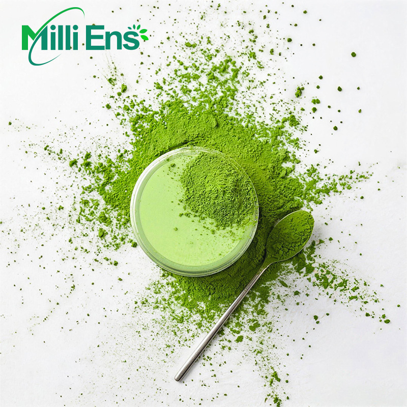 Matcha Latte Steamed Green Tea Powder Organic Matcha Powder European Standard Matcha Powder can be packaged with printed logo Matcha Latte Steamed Green Tea Powder Organic Matcha Powder European Standard Matcha Powder can be packaged with printed logo