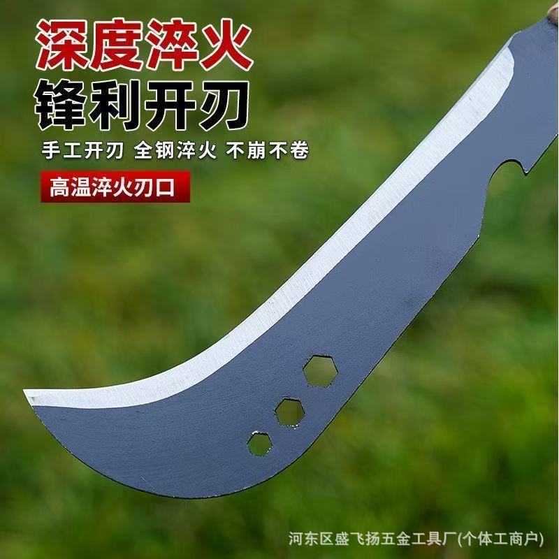 微信图片_20250728105426.jpg