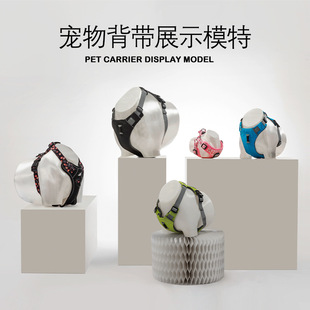 Simple style pet cat dog clothing strap display model chest back traction rope props personalized Special