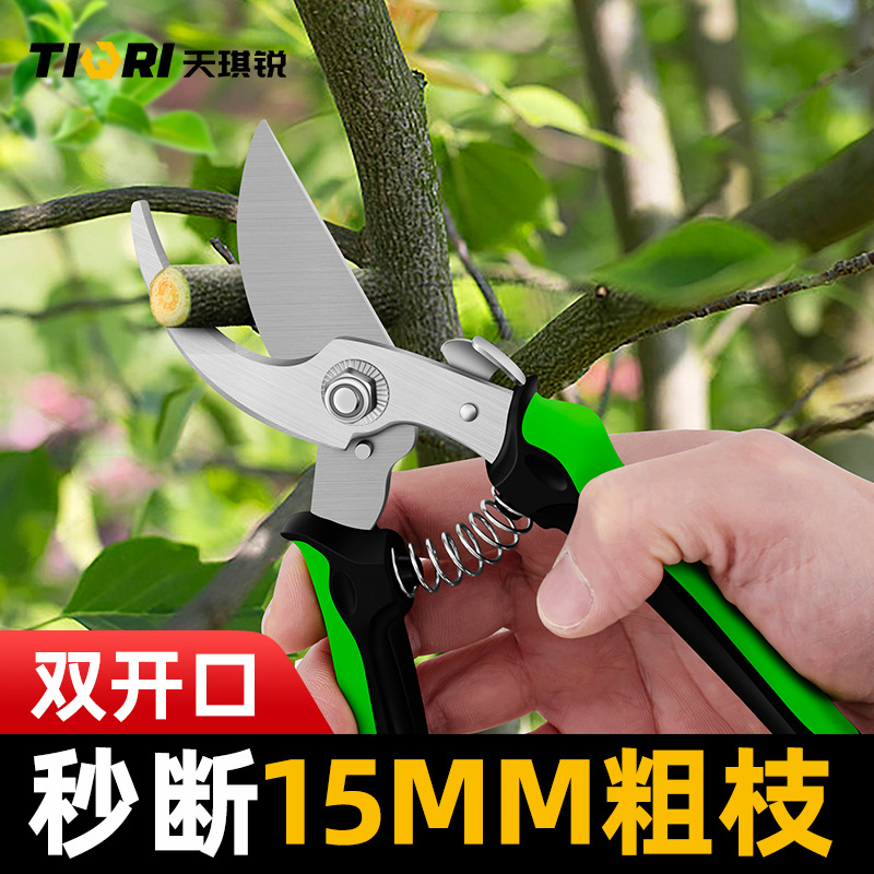天琪锐双色柄果枝剪园林花艺修剪树枝果树剪刀粗大花剪园艺剪工具