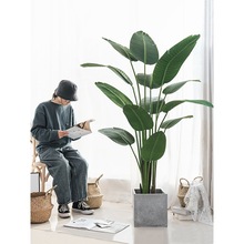 Gֲֲ˽߶pb҃ԷB͏d[