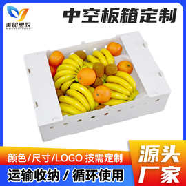 透气保鲜中空板打包箱 塑料果蔬周转箱  水果包装箱中空板周转箱