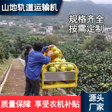 果园茶园自走式轨道运输机山地单轨运输车农用爬山虎光伏板搬运车