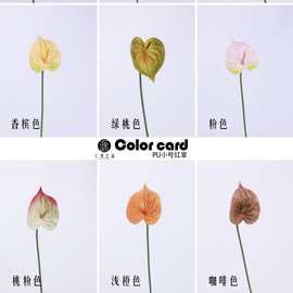 工厂直销 迷你小红掌手感小绿掌观音莲 家居花艺婚庆花束插花配材