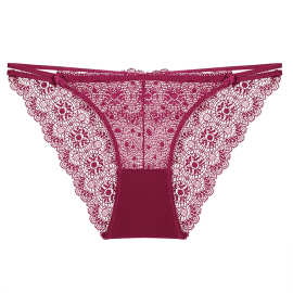 欧美性感内裤法式薄款透视网纱蕾丝内裤纯棉裆部提臀低腰三角内裤