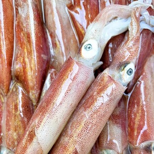 ӡ��t����ូt���~���r�����ӡ��t���~���ùP���~���\���ˮ�a