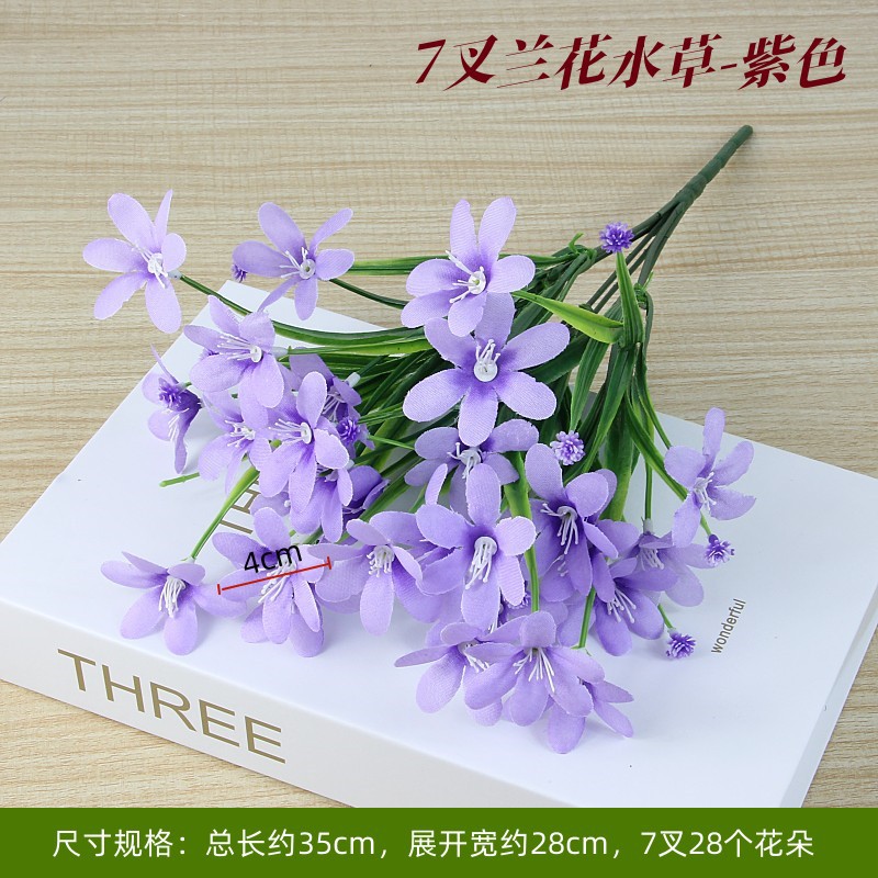 Aquatic plants, orchid