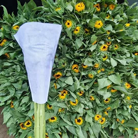 鲜切花;干花;园艺工具