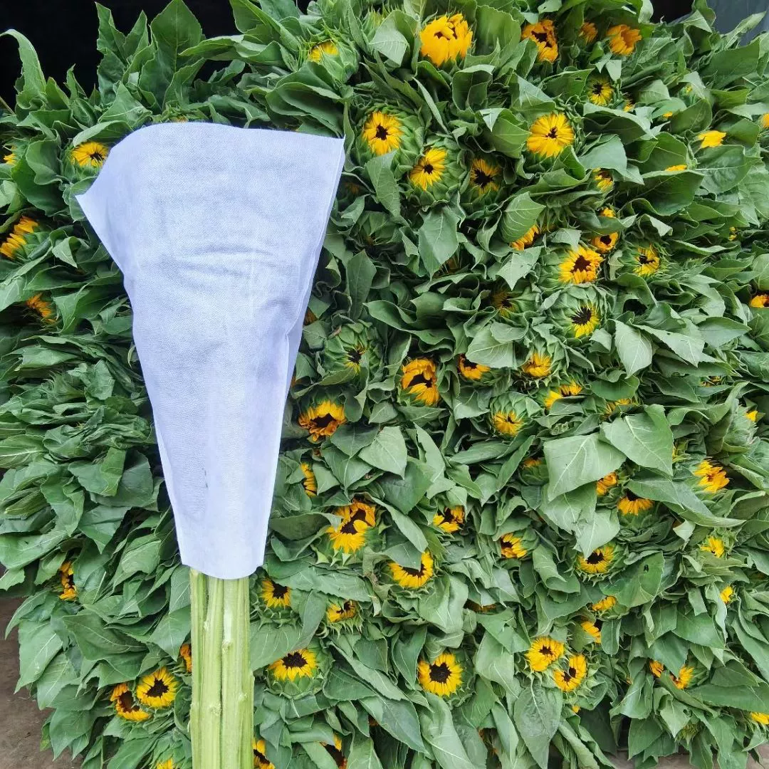 Свежие цветы подсолнуха ко Дню учителя, оптовая продажа свежесрезанных цветов, прямая поставка с базы в Юньнани, букет из свежесрезанных цветов.