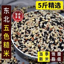 五色糙米新米5斤五谷杂粮红米黑米糙米饭粗粮健身饱腹稀饭
