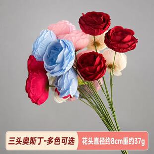 ���滨3�^�W˹͡õ�廨�껨�Ҿ�ܛ�b�ٻ���Y��c�b��¼��b�