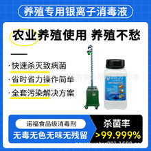 饲养殖场猪牛圈棚鸡兔鸭舍消毒液非洲牛猪瘟银离子专用消毒剂杀菌