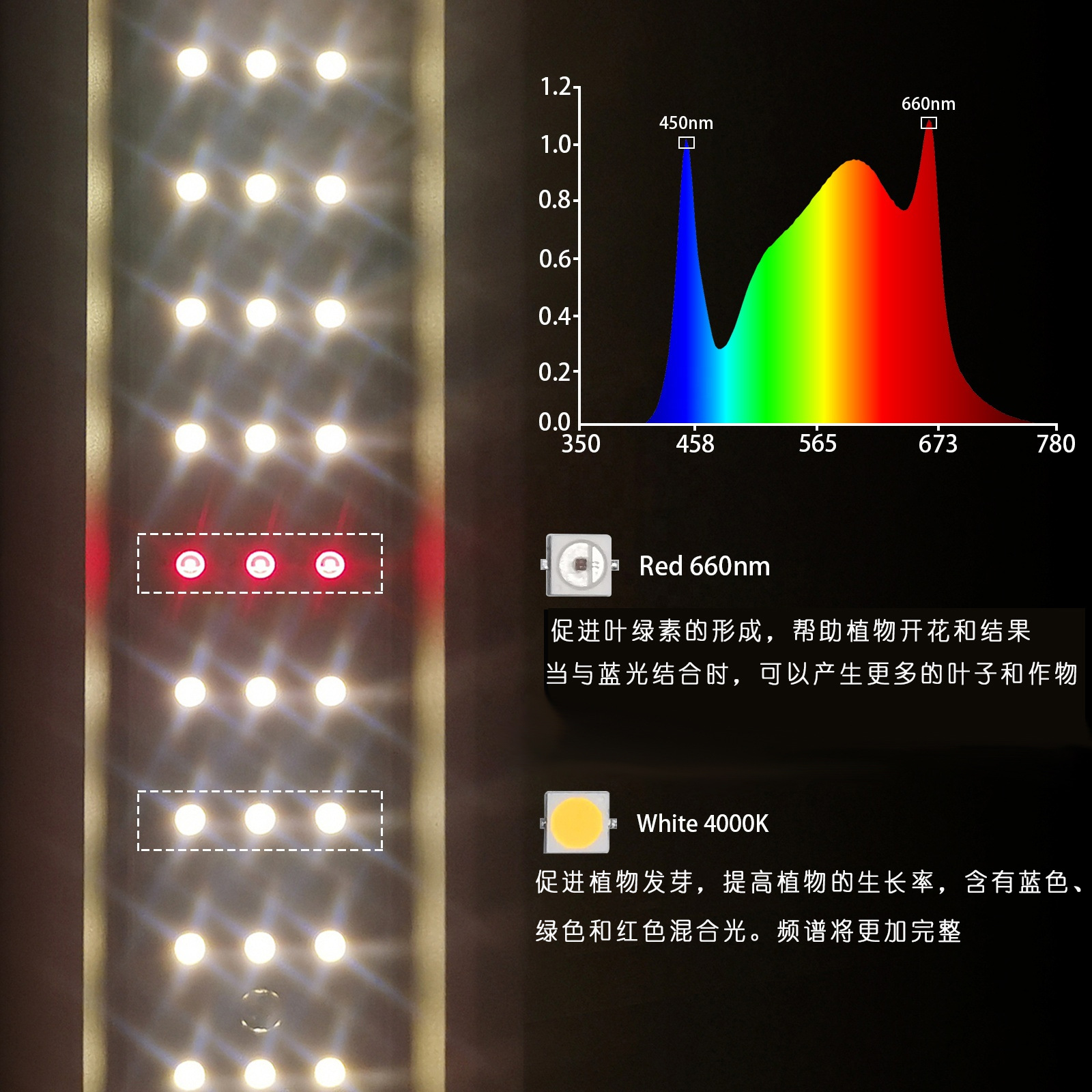 羳IP65ưֲLEDֲ